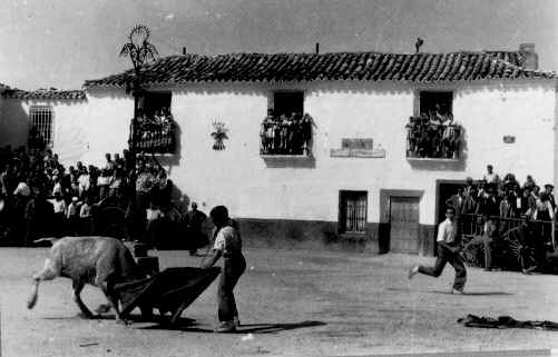Los toros en la Plaza Mayor